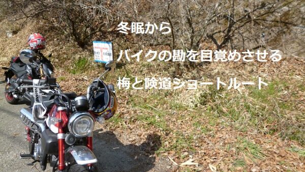 バイク勘を復活！ショートツーリングで春の準備を！梅と険道で冬眠から目覚める月ヶ瀬～上野島ヶ原線ルート