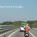 秋と言えばフジバカマ！旅する蝶が訪れる「アサギマダラの郷」～三重県津市美杉町太郎生